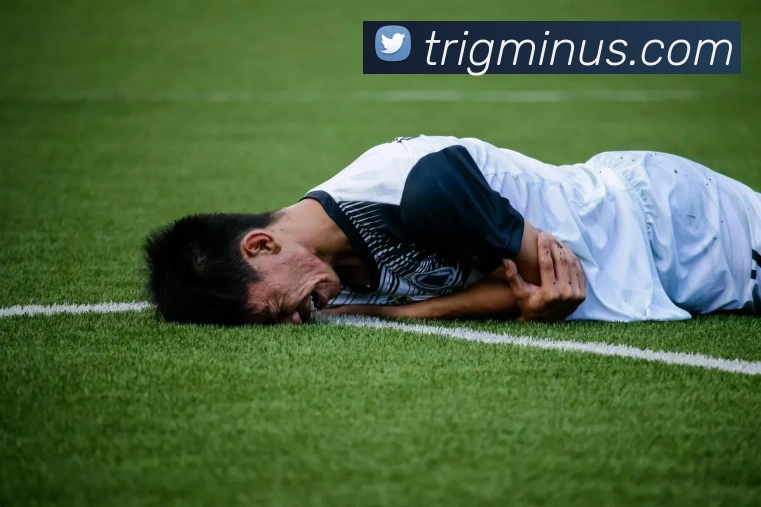 App Interface Preview